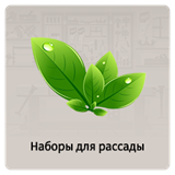 Наборы для рассады