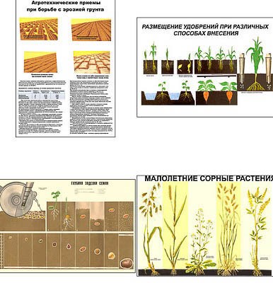 Плакаты "Агрономия" (5 пл, винил, 70х100) СТ336363 - фото 1114807