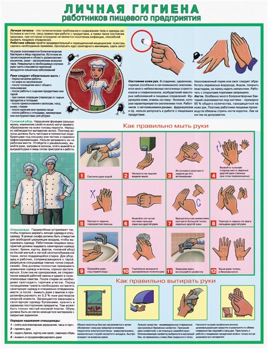 Стенд «Личная гигиена работников пищевого предприятия», 80х100 см ms.41169 - фото 798735