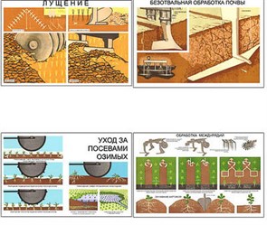 Плакаты "Основы агрономии" (11 пл, винил, 70х100) СТ336362