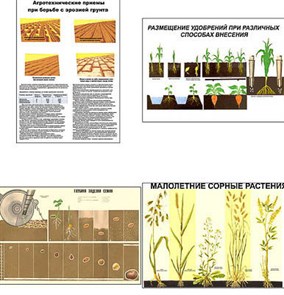 Плакаты "Агрономия" (5 пл, винил, 70х100) СТ336363