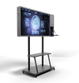 Интерактивная панель Storm S Mini 43" (с документ камерой) МБ4511668