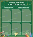 Стенд «Правила поведения в актовом зале», 80х90 см, 6 карманов ms.12329 - фото 797263